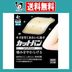 �y�Ǘ���Ë@��z�J�b�g�o�����y�A�p�b�h �W�����{�T�C�Y 4�����y�S����i�H�Ɓz�L�Y�𑁂����ꂢ�Ɏ��� �ɂ݂����炰�� �y�x�̐؂菝 