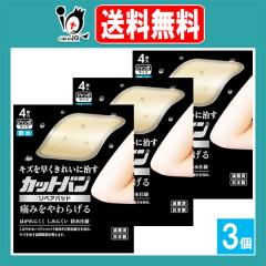 �y�Ǘ���Ë@��z�J�b�g�o�����y�A�p�b�h �W�����{�T�C�Y 4�����~3�Z�b�g�y�S����i�H�Ɓz�L�Y�𑁂����ꂢ�Ɏ��� �ɂ݂����炰�� �y