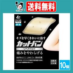 �y�Ǘ���Ë@��z�J�b�g�o�����y�A�p�b�h �W�����{�T�C�Y 4�����~10�Z�b�g�y�S����i�H�Ɓz�L�Y�𑁂����ꂢ�Ɏ��� �ɂ݂����炰�� 