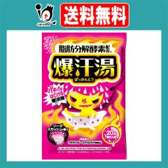 ������(�΂�����Ƃ�) �\�[�_�X�J�b�V���̍��� 60g(1��)�y�o�C�\���z�p�`�p�`�e���锚�Y�_ �Q���}�j�E�� �G�v�\���\���g ���b�����y�f�z