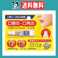 �y��3�ވ��i�z�t�B�N�e�ALip 10g�y�W���p�����f�B�b�N�z���O���E���p���A���p�̂Ђт��E������� ���i�̃��b�v�N���[��