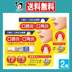 �y��3�ވ��i�z�t�B�N�e�ALip 10g�~2�Z�b�g�y�W���p�����f�B�b�N�z���O���E���p���A���p�̂Ђт��E������� ���i�̃��b�v�N���[��