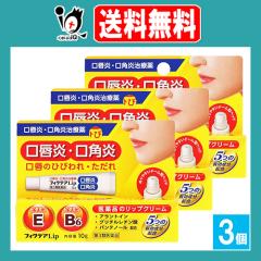 �y��3�ވ��i�z�t�B�N�e�ALip 10g�~3�Z�b�g�y�W���p�����f�B�b�N�z���O���E���p���A���p�̂Ђт��E������� ���i�̃��b�v�N���[��