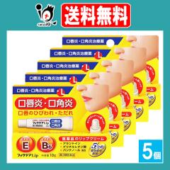 �y��3�ވ��i�z�t�B�N�e�ALip 10g�~5�Z�b�g�y�W���p�����f�B�b�N�z���O���E���p���A���p�̂Ђт��E������� ���i�̃��b�v�N���[��