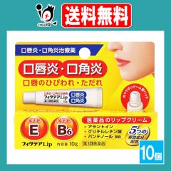 �y��3�ވ��i�z�t�B�N�e�ALip 10g�~10�Z�b�g�y�W���p�����f�B�b�N�z���O���E���p���A���p�̂Ђт��E������� ���i�̃��b�v�N���[