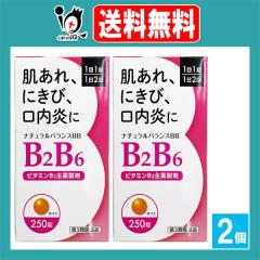 �y��3�ވ��i�z�i�`�������o�����XBB 250���~2�Z�b�g�y�ēc��i�H�Ɓz������E�ɂ��сE�������� �r�^�~��B2���� �r�^�~��B2�� �r�^