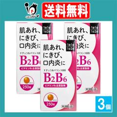 �y��3�ވ��i�z�i�`�������o�����XBB 250���~3�Z�b�g�y�ēc��i�H�Ɓz������E�ɂ��сE�������� �r�^�~��B2���� �r�^�~��B2�� �r�^