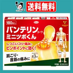 �y��3�ވ��i�z���o���e�����R�[���~�j�c�{���� 180�����yKowa ���a�z�T���`���_�O���R�[���z�� �O�p���ɏ����� ���� �s���|�C���g ����