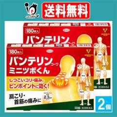 �y��3�ވ��i�z���o���e�����R�[���~�j�c�{���� 180�����~2�Z�b�g�yKowa ���a�z�T���`���_�O���R�[���z�� �O�p���ɏ����� ���� �s���|