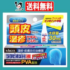 �y�w���2�ވ��i�z�����N�s�I��H�t 30mL�y������i�H�Ɓz�y���N�[����i�z����Ȃǂ̎��]�A����݁A���Ԃ�� ���]�E�畆���̎��Ö� ��