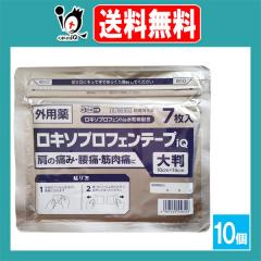 �y��2�ވ��i�z�����L�\�v���t�F���e�[�viQ �唻 ���~�l�[�g��(���Ȃ�) 7�����~10�Z�b�g�y���N�[����i�z������ ���R�� ���� �֐ߒ� 