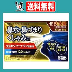 �y��2�ވ��i�z���X�J�C�u�u����HI 60��(30����)�y�����i�H�Ɓz��e�� �A�����M�[��p�@���� �A���O�� �A�����r�Ɠ����t�F�L�\�t�F�i