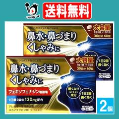 �y��2�ވ��i�z���X�J�C�u�u����HI 60��(30����)�~2�Z�b�g�y�����i�H�Ɓz��e�� �A�����M�[��p�@���� �A���O�� �A�����r�Ɠ����t�F