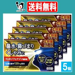 �y��2�ވ��i�z���X�J�C�u�u����HI 60��(30����)�~5�Z�b�g�y�����i�H�Ɓz��e�� �A�����M�[��p�@���� �A���O�� �A�����r�Ɠ����t�F