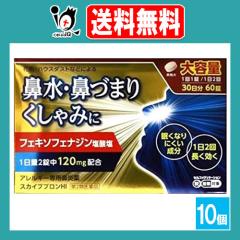 �y��2�ވ��i�z���X�J�C�u�u����HI 60��(30����)�~10�Z�b�g�y�����i�H�Ɓz��e�� �A�����M�[��p�@���� �A���O�� �A�����r�Ɠ����t