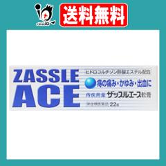 �y�w���2�ވ��i�z�U�b�X���G�[�X��p 22g�y���O��򐶎Y�z�����p�� ���̒ɂ݁E����݁E�o���� ���ꎤ �؂ꎤ ���ڎ� ����� �͂�