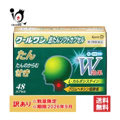 󂠂y2ވizN[ \tgJvZ 48JvZyǗѐzP႖   P   JvZygp