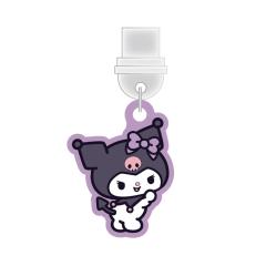 TI RlN^`[ TypeC LN^[ ObY USB   t^ zRh~ N~ X}z ANZT[ `[ X}z ANZ