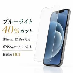 iPhone 12 / iPhone 12 Pro �K���X�t�B���� �u���[���C�g�J�b�g 10H �t���ی�t�B���� ��ʕی�t�B���� iPhone 12 ���C�A�E�g RT-P27FT/