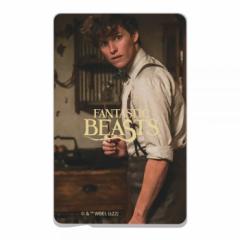 IC�J�[�h�X�e�b�J�[ IC�J�[�h �X�e�b�J�[ �V�[�� ��� �d�� �o�X suica pasmo icoca manaca �\�� �j���[�g �X�L���}���_�[