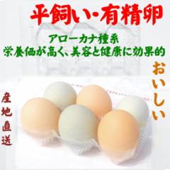 放し飼い アローカナ卵 幸せの青い卵 アローカナ 有精卵 栄養満点夏 バテ防止 アローカナ卵 料理の彩りを鮮やかに！アローカナ卵 採れたの通販はau  PAY マーケット - Ｄｅｊａｖｕ | au PAY マーケット－通販サイト