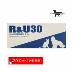 R&U30 10~2V[g Lp ̏d10kg`20kg 12 10   畆 E N⏕Hi