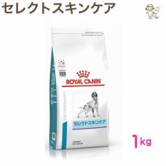 yCJizp ZNgXLPA 1kg hC hbO t[hyÖ@Hz