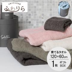 ��Ă�^�I��feel  �o�X�^�I�� �M�t�g �������� feel(�t�B�[��) �o�X�^�I��1��  -xx