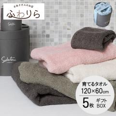 ��Ă�^�I��feel  �o�X�^�I�� �M�t�g �������� feel(�t�B�[��) �o�X�^�I��5�Z�b�g-xx