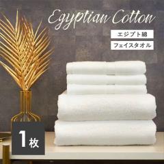 �t�F�C�X�^�I�� ���� �G�W�v�g�� �t�F�C�X�^�I��1�� [M�� 1/3]