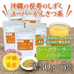 �V�[�N���[�T�[ 30g�~5�� �p�E�_�[ ���ꌧ�Y  �m�r���`�� ��������