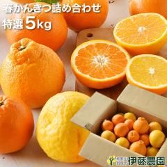 �݂��� �l�ߍ��킹 ���񂫂� ���I10kg �a�̎R�݂��� �������� �h���� �s�g�p �k�C�� ���� ���� 770�~ ������ �t���[�c �z���C�g�f