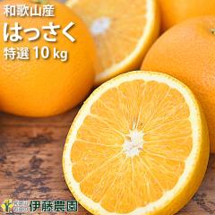 ���� �͂����� 10kg �a�̎R�Y �n�b�T�N 20�`30�� ���i �����p �{ �� �݂��� �������� ���l�� ��l�� ������ �m�[���b�N�X �m�[�u���b�V