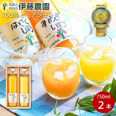 �݂���W���[�X �X�g���[�g 750ml 2�{ �a�̎R ���Y�� �ʏ`100% ���ݔ�� �W���[�X ��e�� �ӂ邳�Ɣ[�łł��D�] �������j �o�Y���j �a��