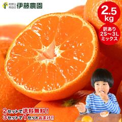 �V�N�j �����p �݂��� �󂠂� 2.5kg �݂��� �ɑ��� ���� ���� �Ӑ� 2�������Ƒ������� 3��������1������ �L�c�݂��� ���� �~�J�� �t���[