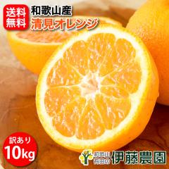 ���� ����� �󂠂� 10kg �������� �a�̎R �L���~ �����I�����W �t �� �݂��� ����p ��l�� ������ �m�[���b�N�X �m�[�u���b�V���O ����