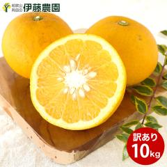 �É� ���܂Ȃ� �󂠂� 10kg �������� �a�̎R �A�}�i�c �t �� �݂��� ����p ��l�� ������ �m�[���b�N�X �m�[�u���b�V���O ���ʍ͔| �l��