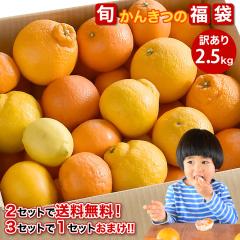 �݂��� �l�ߍ��킹 ���񂫂� �󂠂� 2.5kg 2�������Ƒ������� 3��������1������ �t���[�c �ƒ�p �ʕ� ���k �ɓ��_�� �a�̎R ���ʍ͔| 