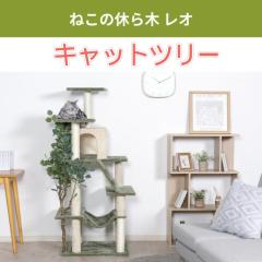 �L���b�g�^���[ �L �^���[ �L���b�g ��^ �X���� �t�F�C�N�O���[�� ������� �˂����� �˂����莮 �����u�� �L���b�g�c���[ �܂Ƃ� �L��