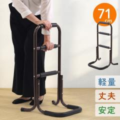 矢崎化工 株式会社 手すり付ｽﾃｯﾌﾟ台 ﾕﾆｯﾄﾀｲﾌﾟ 2段 CHE-2 （ﾏｯﾄ・ﾌﾚｰﾑ色