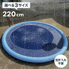 �����}�b�g �����v�[�� ���V�� �y220cm�z �傫�� ���V�� ���� �� �v�[�� �}�b�g �܂��� �� ���W���[ ������ ���� �E�H�[�^�[�}�b�g ��