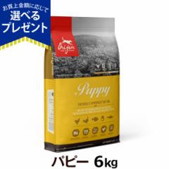 【店内全品送料無料】オリジン パピー 6kg （カナダ産）