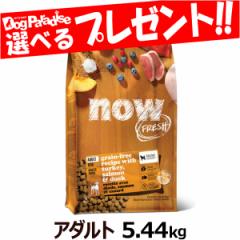 �y����ȊO���������z�i�E �t���b�V�� �O���C���t���[ �A�_���g5.44kg NOW FRESH  