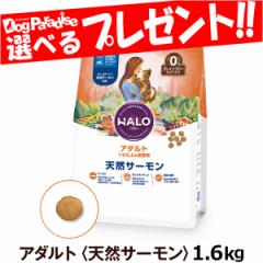 【店内全品送料無料】HALO ハロー キャットフード アダルト (天然サーモン) 1.6kg 