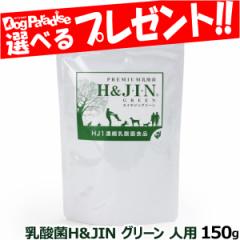 【店内全品送料無料】Premium乳酸菌H&JIN グリーン 人用 150g 