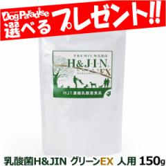 【店内全品送料無料】Premium乳酸菌H&JIN グリーンEX 人用 150g 