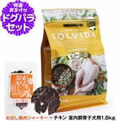 yXSiz\r_ SOLVIDA hbOt[h OCt[ `L qp 1.8kg {YW[L[(TCY)