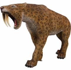   IuWF T[x^CK[ Smilodon Sabertoothed Cat CeA Cxg fBXvC