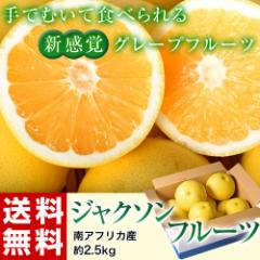 ジャクソンフルーツ』南アフリカ産 約2.5kg(10〜17玉） ※冷蔵 送料無料