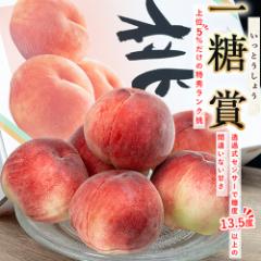 糖度13.5度以上 一糖賞 新潟県産桃 特秀品 約2kg(6〜8玉)風袋込み 化粧箱 ※常温 JA新潟かがやき 送料無料